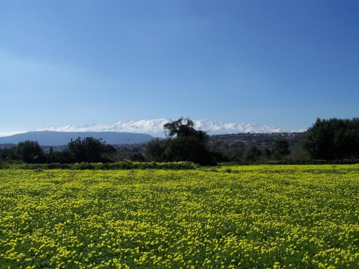Manolo S Olive Farm, Apartment With Seaview La Canea Exterior foto