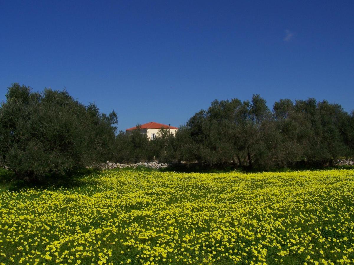 Manolo S Olive Farm, Apartment With Seaview La Canea Exterior foto
