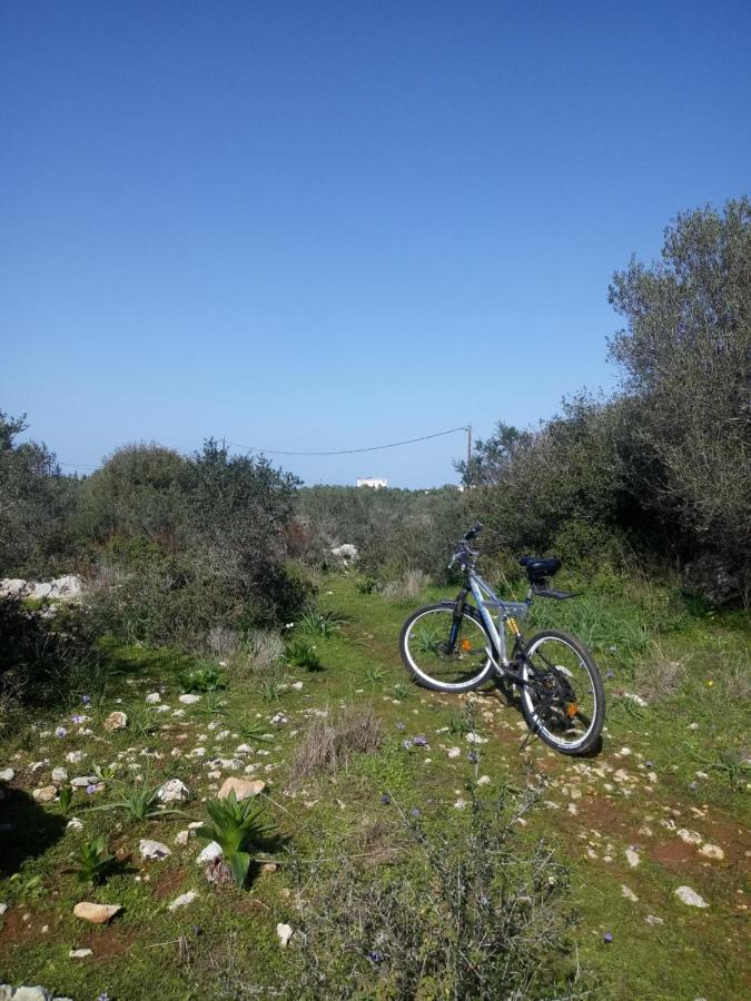 Manolo S Olive Farm, Apartment With Seaview La Canea Exterior foto