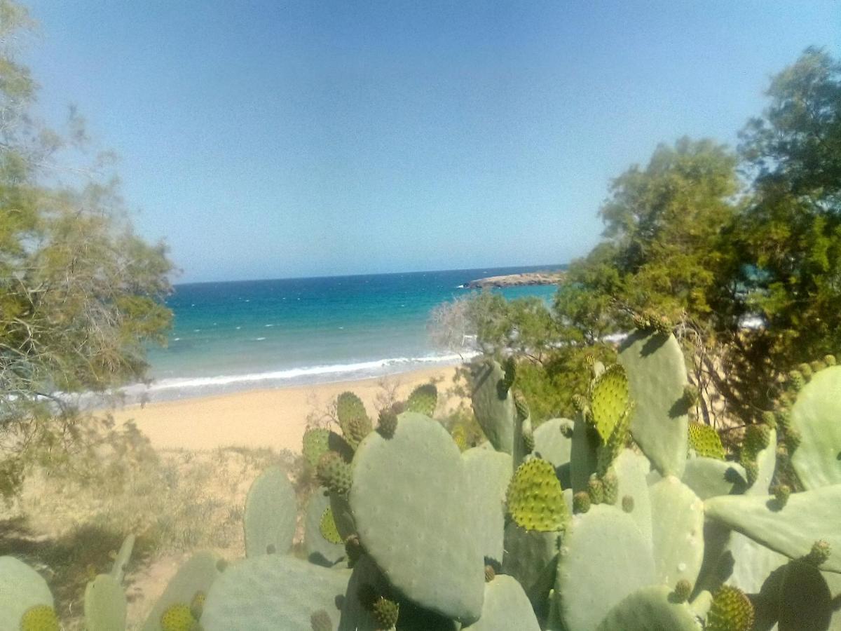 Manolo S Olive Farm, Apartment With Seaview La Canea Exterior foto